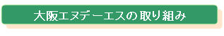 大阪エヌデーエスの取り組み